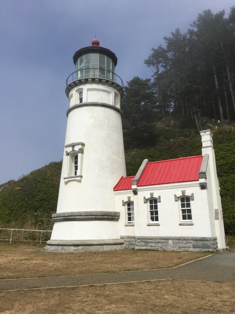 hecata head lighthouse oregon august 2016 (3) foxglove wildflower