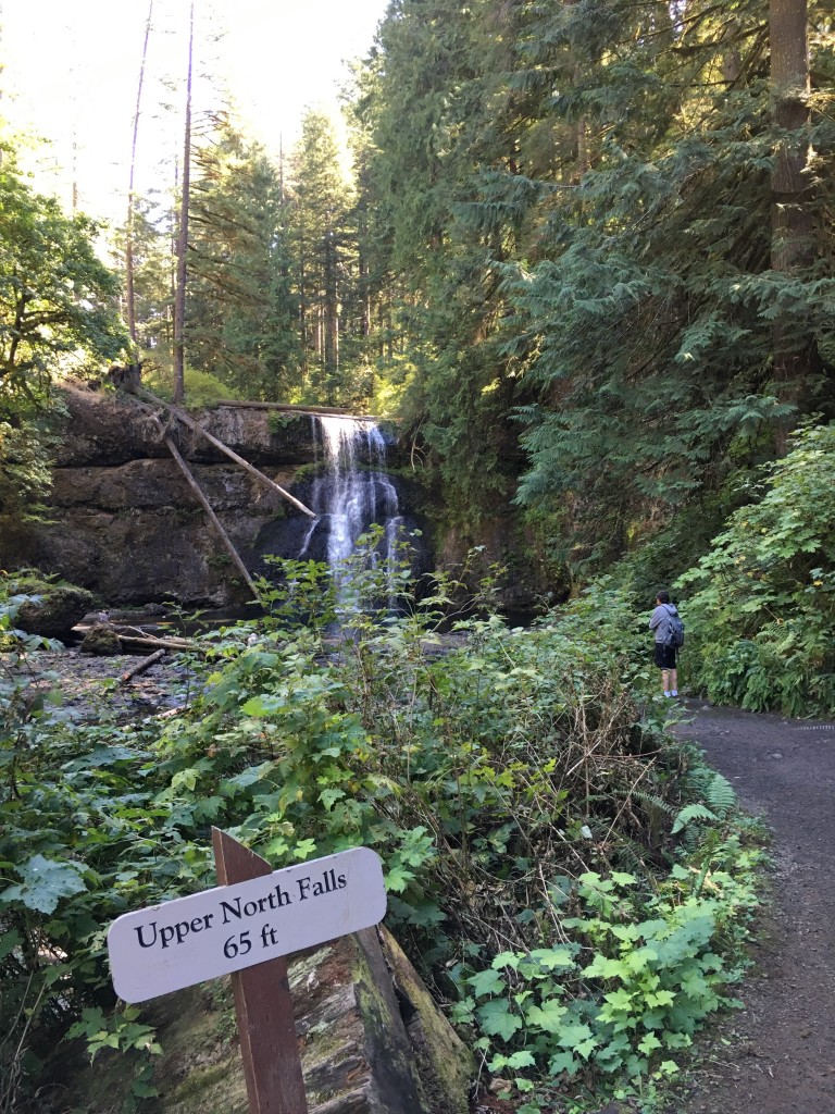 silver falls oregon august 2016 (49) waterfall upper north