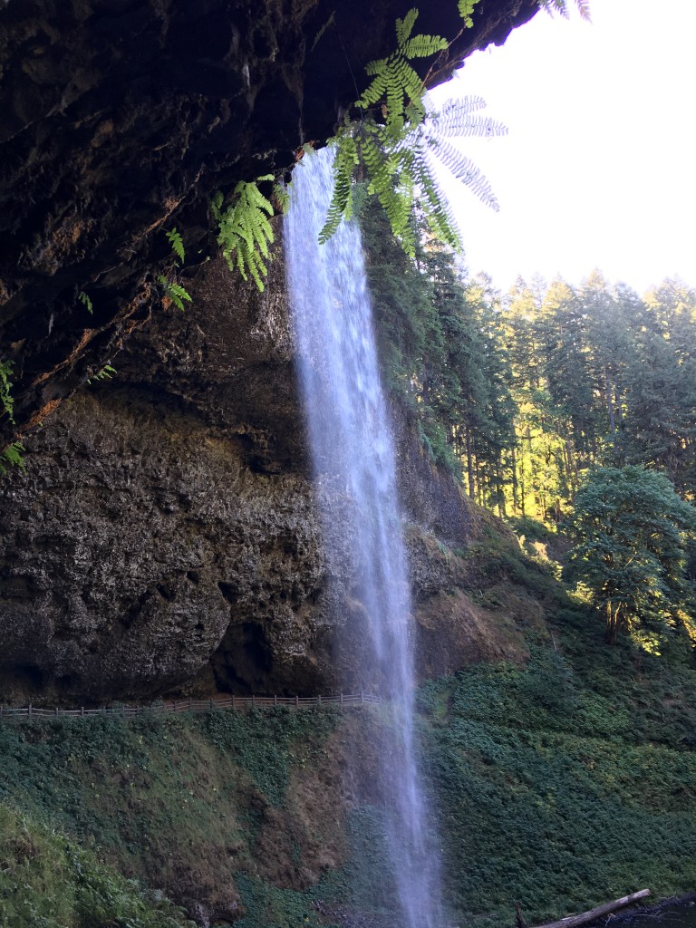 silver falls oregon august 2016 (73) south falls