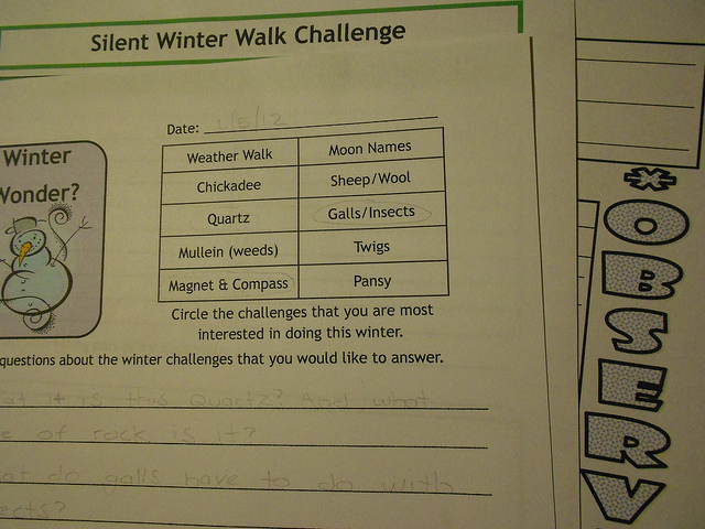 Winter Wonder Outdoor Hour Challenge journal page
