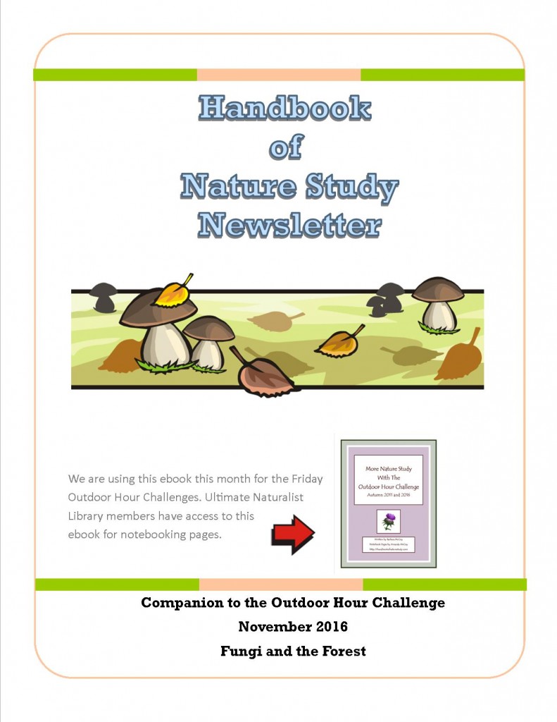 HNS Newsletter Cover Nov 2016