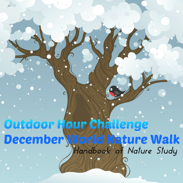 December World Nature Walk Outdoor Hour Challenge @handbookofnaturestudy