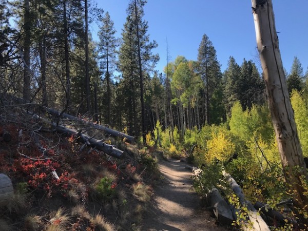 hike deschutes river trail 2021