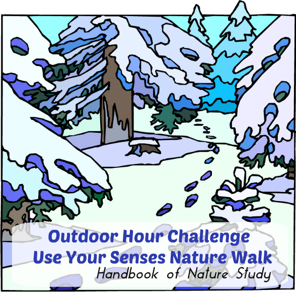 Outdoor Hour Challenge Use Your Senses Nature Walk @handbookofnaturestudy