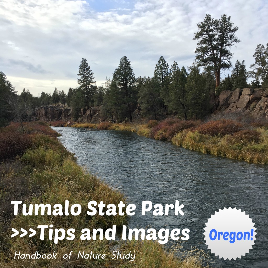 Tumalo State Park Tips and Images @handbookofnaturestudy