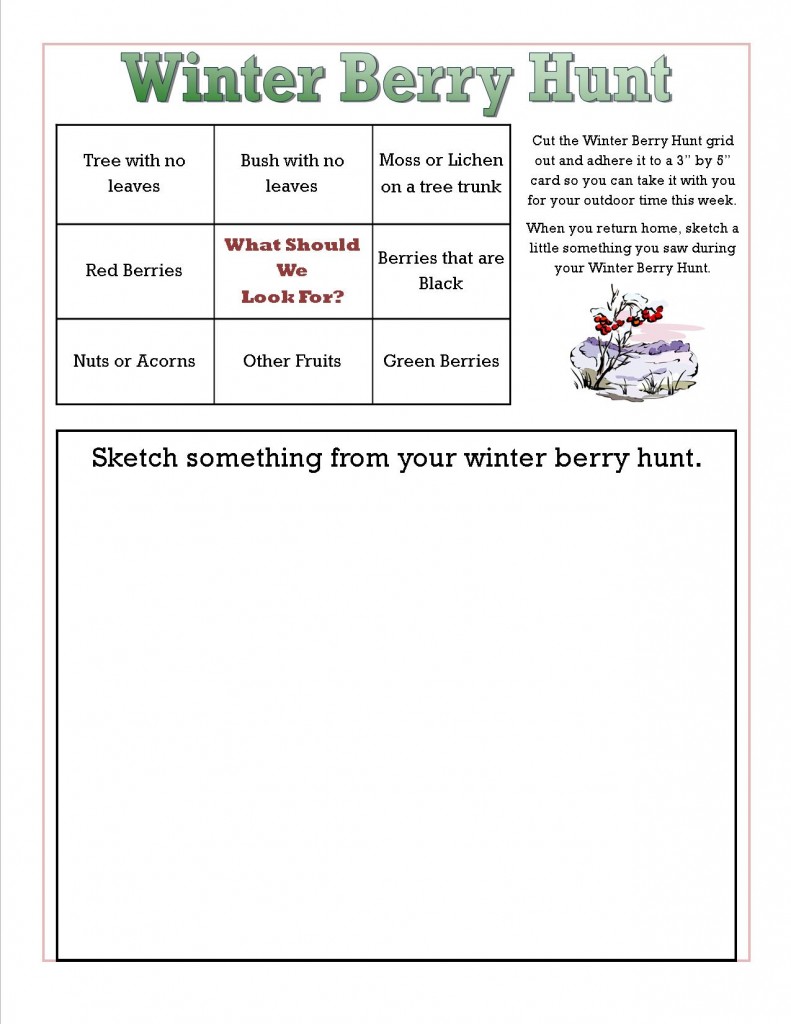 Winter Berry Hunt Activity Image