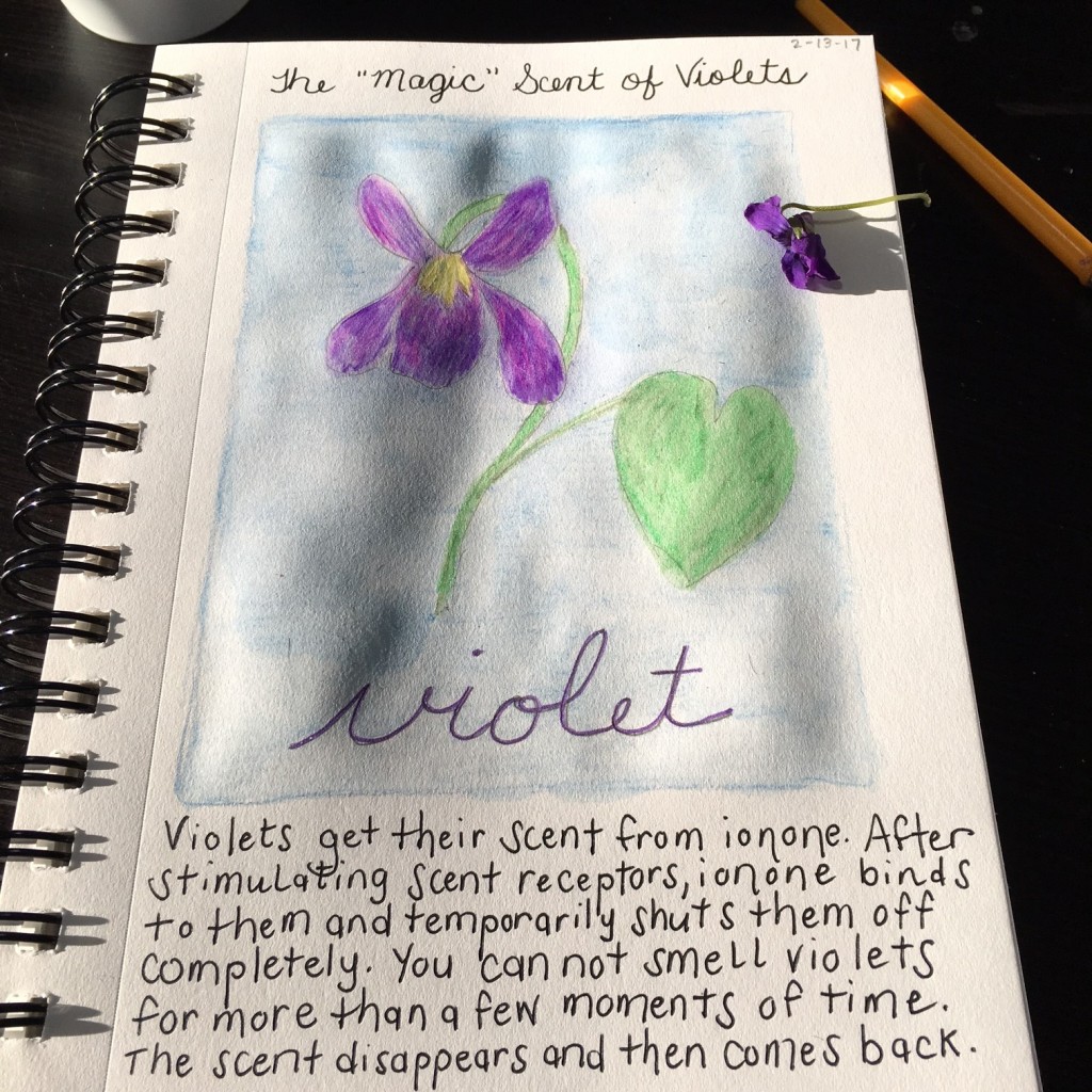 violet nature journal page