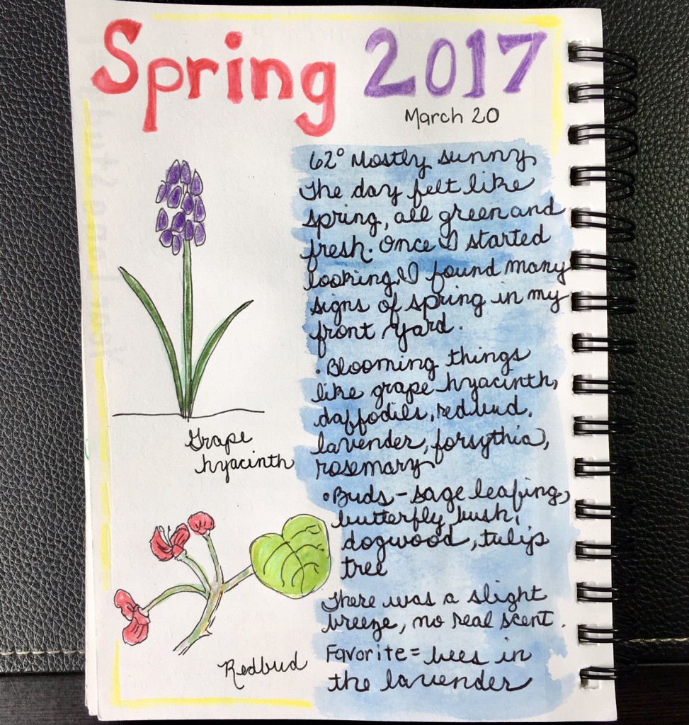 First Day of Spring 2017 nature journal