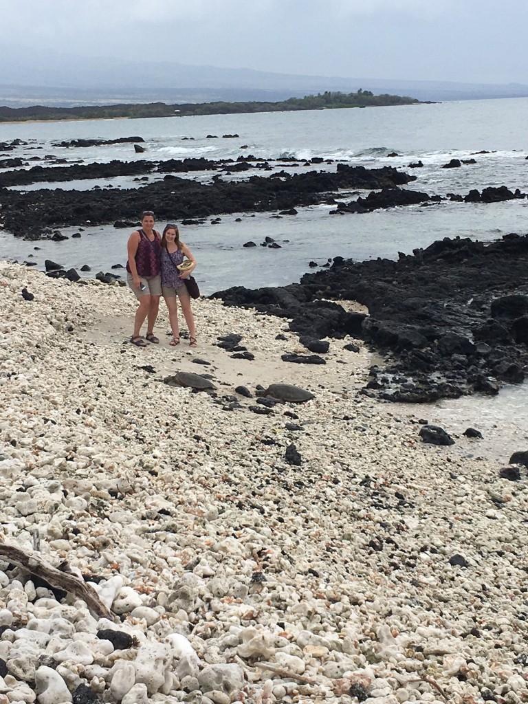 Sea Turtles Waikoloa Hawaii 2017 @handbookofnaturestudy (7)