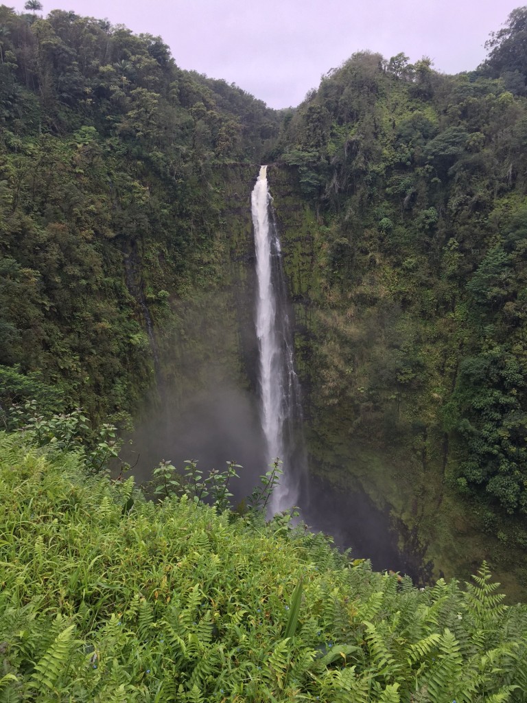 Akaka Falls Hawaii 2017 @handbookofnaturestudy (8)