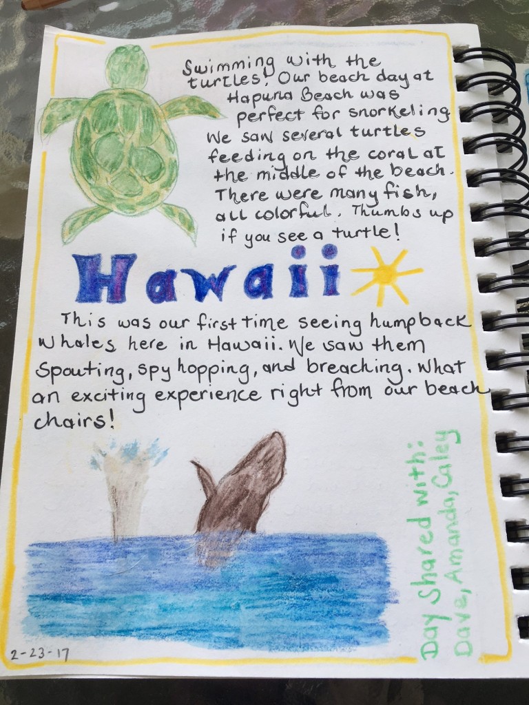 Hawaii turtle whale nature journal