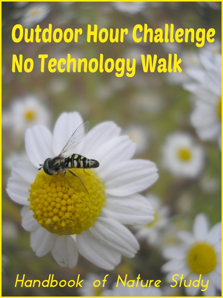 Outdoor Hour Challenge No Technology Walk @handbookofnaturestudy