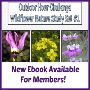 Outdoor Hour Challenge Wildflower Ebook 1 promo button
