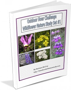 Outdoor Hour Challenge Wildflower Set 1 Ebook