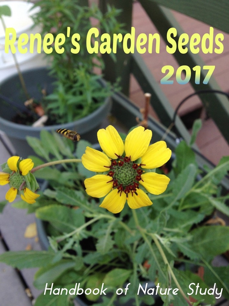 Renees Garden Seeds @handbookofnaturestudy