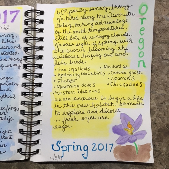 Spring in Oregon nature journal @handbookofnaturestudy