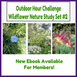 Outdoor Hour Challenge Wildflower Ebook two promo button