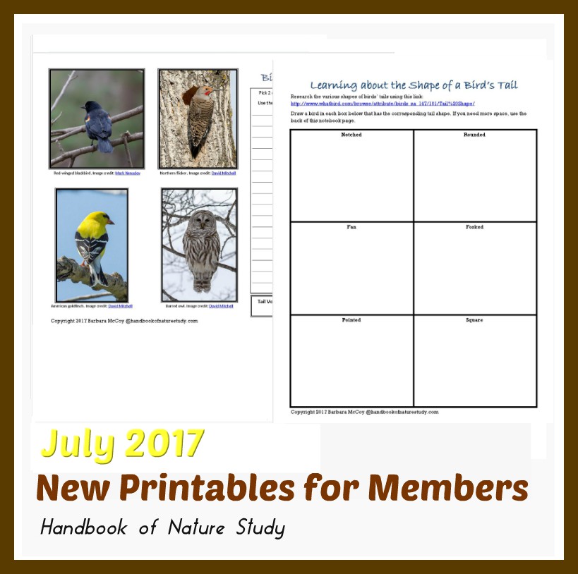 Printables for Members July 2017 @handbookofnaturestudy