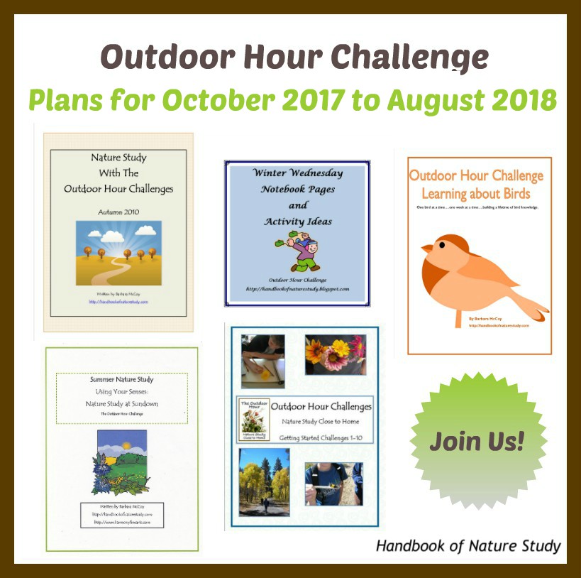 1 Outdoor Hour Challenge Oct 17 to Aug 18 Plans
