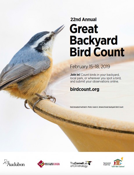 Great Backyard Bird Count poster