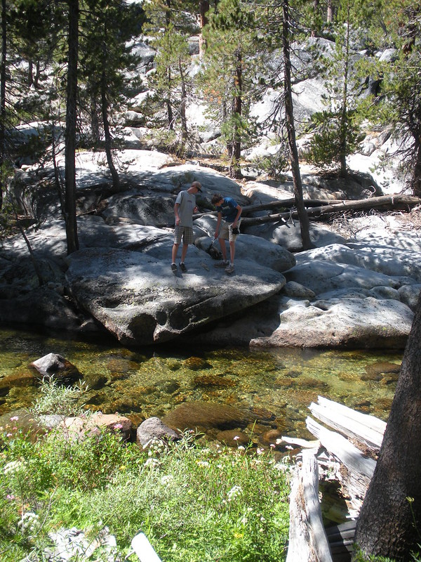Creek brook nature study