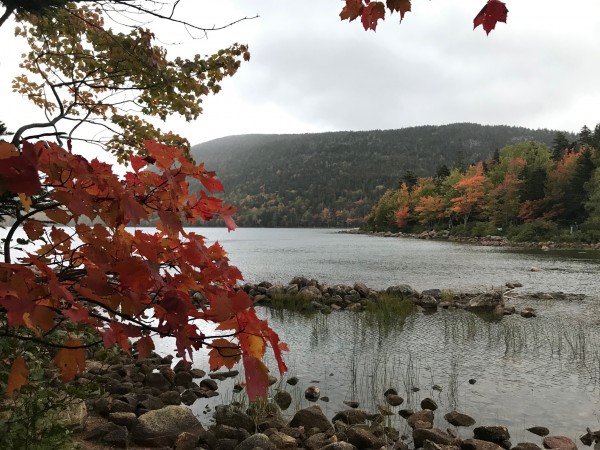 Acadia National Park October 2019 (5)