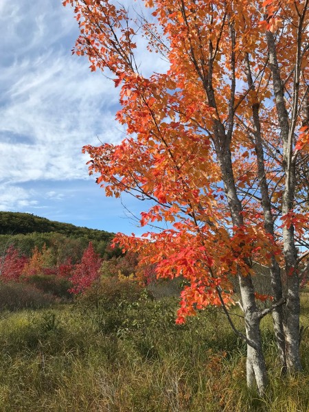 Acadia National Park October 2019 (8)