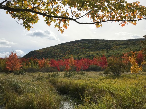 Acadia National Park October 2019 (9)