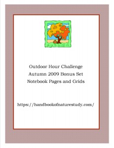 Autumn 2009 cover graphic