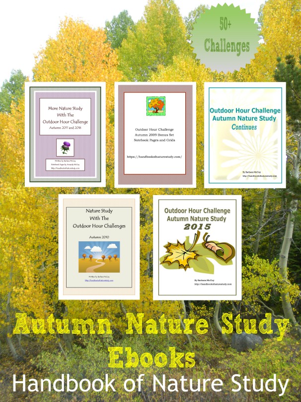 Autumn Nature Study Ebooks graphic