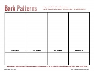 Bark Patterns Notebook Page