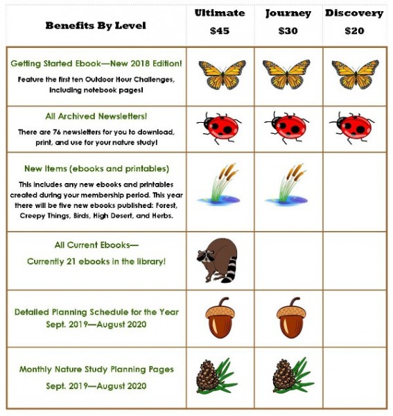 Benefits by Level graphic 2019 to 2020