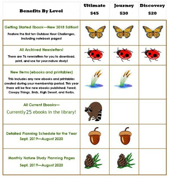 Benefits by Level graphic 2019 to 2020 updated January 2020