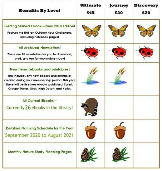 Benefits by Level graphic  26 ebooks