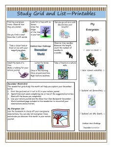 December World Study Grid 12 2011 Newsletter