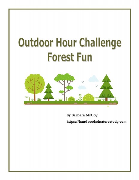 Forest Ebook Cover for Plan Explanation