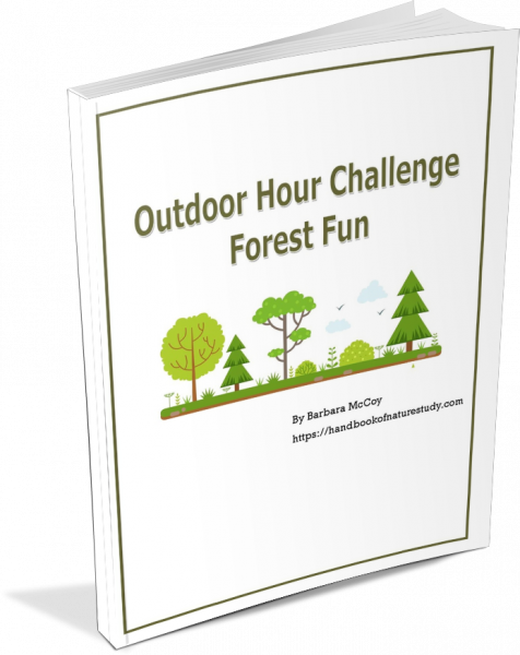 Forest Fun ebook cover graphic