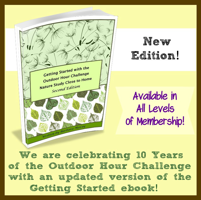 Getting Started Ebook New Edition button 2