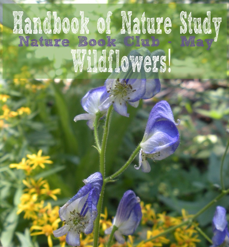Handbook of Nature Study Nature Book Club Wildflowers