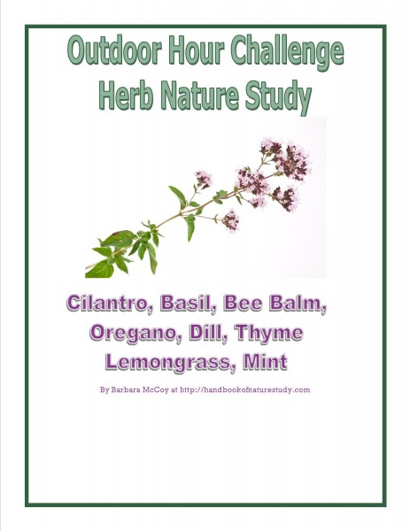 Herb nature study cover for plan explanation