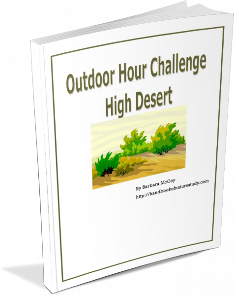 High Desert Ebook cover graphic