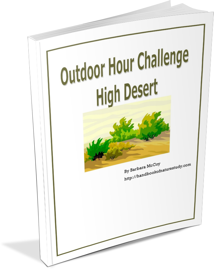 High Desert Ebook cover graphic