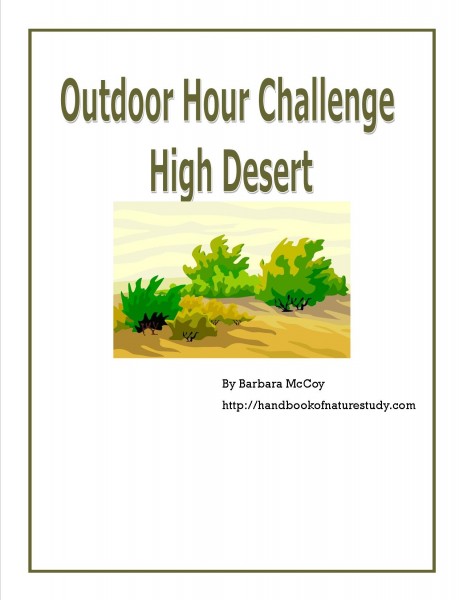 High Desert cover for plan explanation