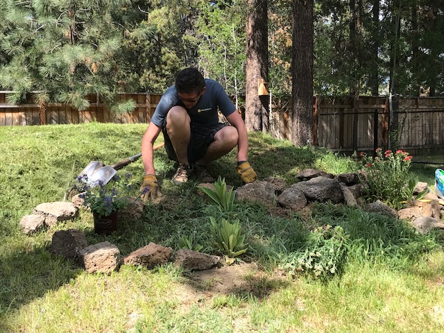 planting my rock garden