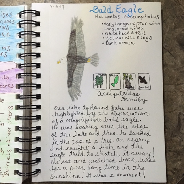 Eagle nature journal page