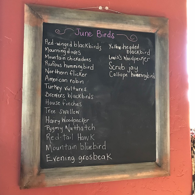 June bird list chalkboard