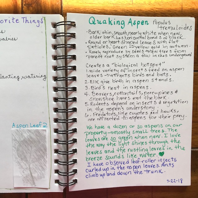 Quaking Aspen Nature Journal Page