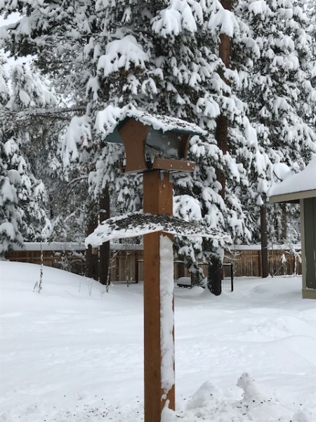 snow on bird feeder