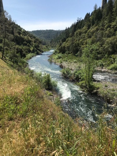 American River confluence