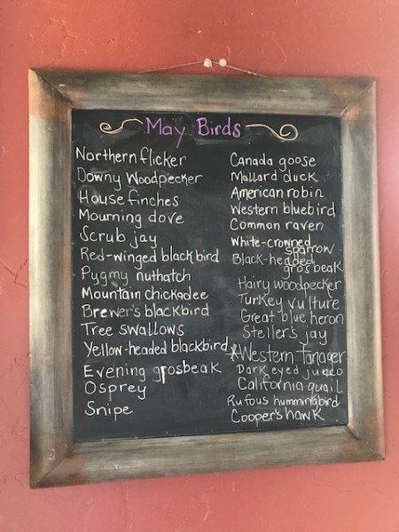 may chalkboard bird list